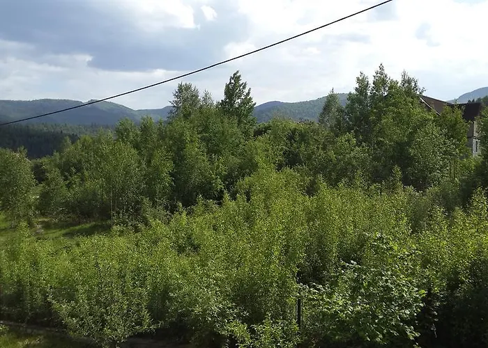Panorama