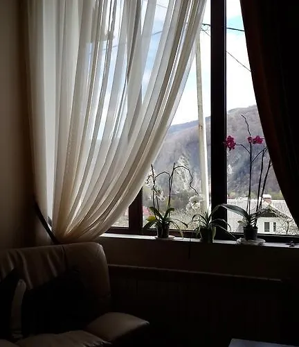 Panorama 3*