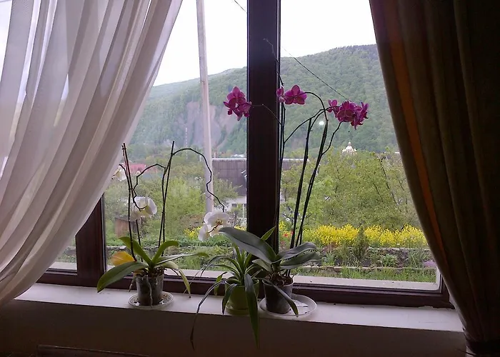 Panorama 亚列姆切